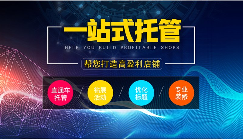 2025站群程序选购指南:从技术架构到AI养站的真实数据洞察